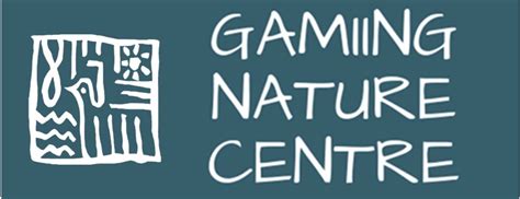 swerte gaming.org|Iba pa.